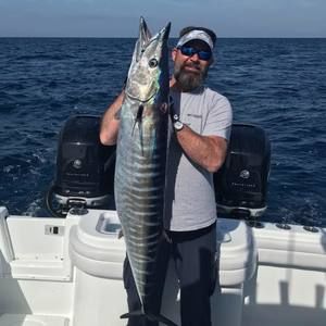 Meet your Posher, Phil